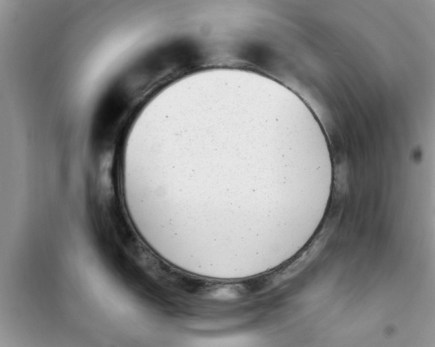 X0000100961150200807081236