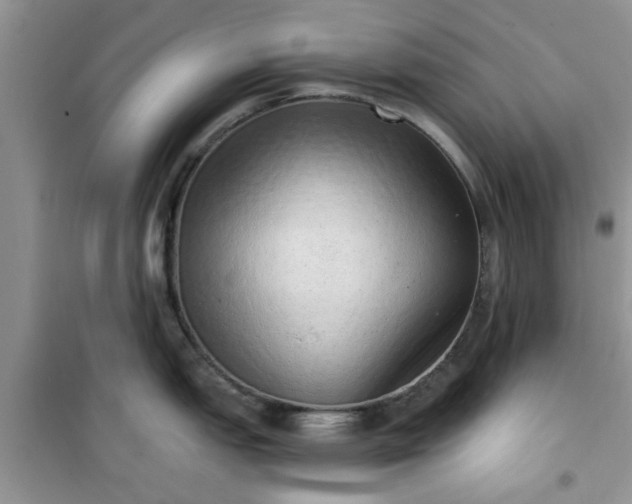 X0000100961151200807081236