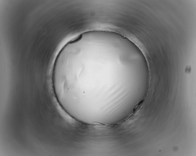 X0000100961152200807081236