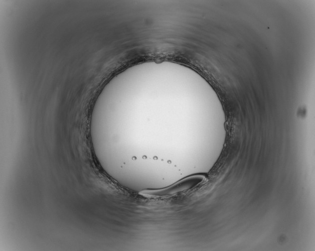 X0000100961153200807081235