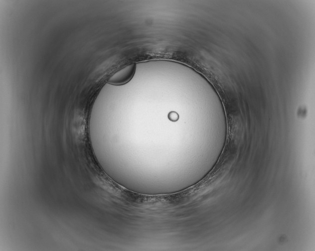 X0000100961154200807081235