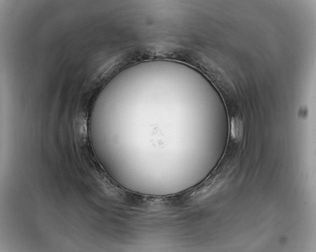 X0000100961155200807081235