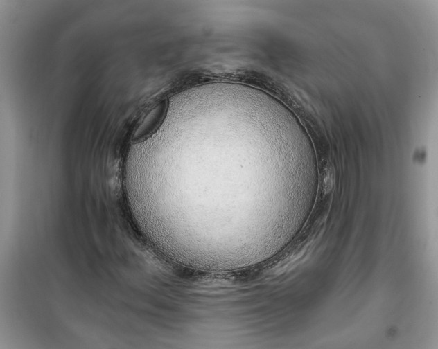 X0000100961156200807081235