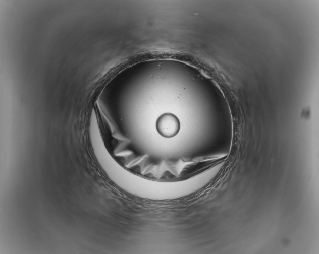 X0000100961157200807081235