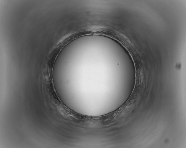 X0000100961158200807081235