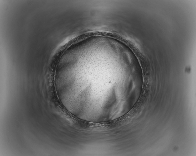 X0000100961159200807081235