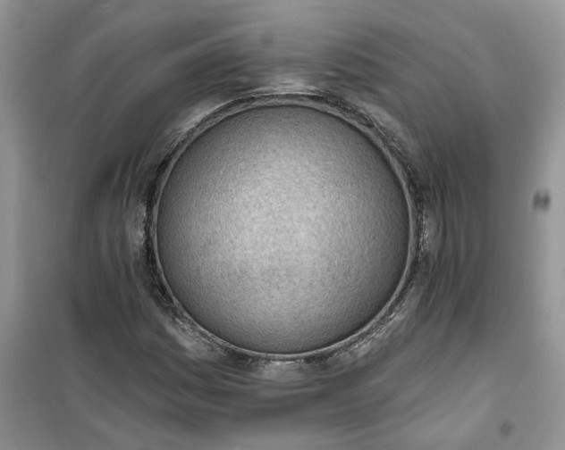 X0000100961161200807081235