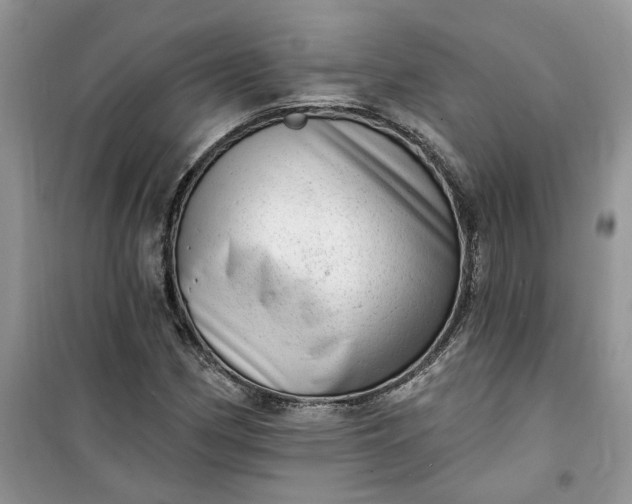 X0000100961162200807081235