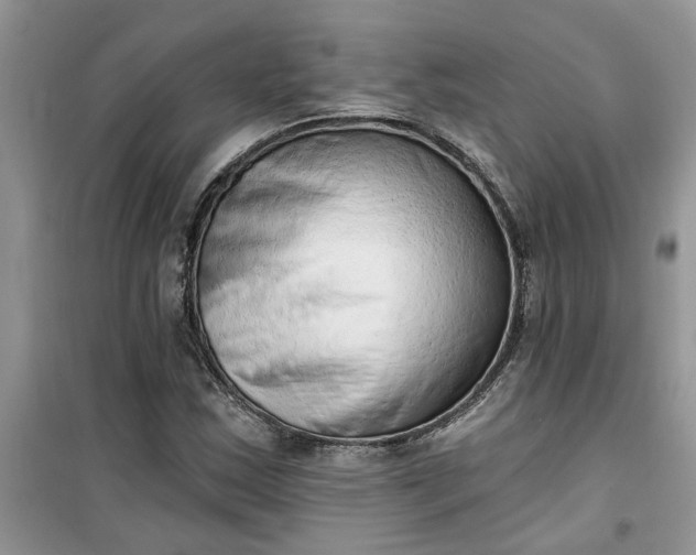 X0000100961163200807081235