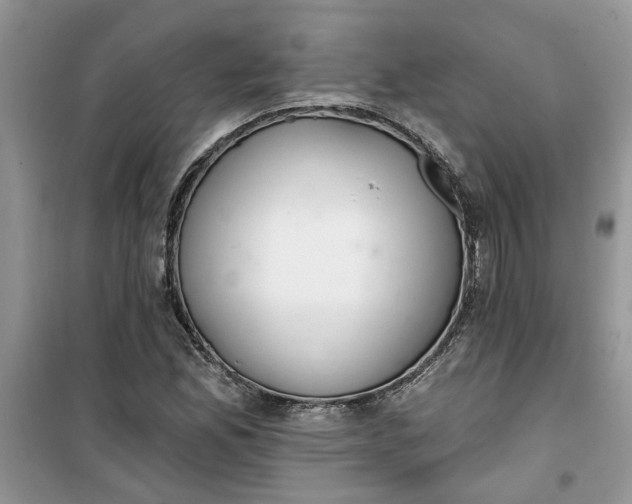 X0000100961165200807081235