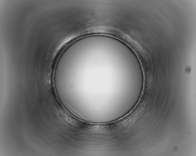 X0000100961166200807081235
