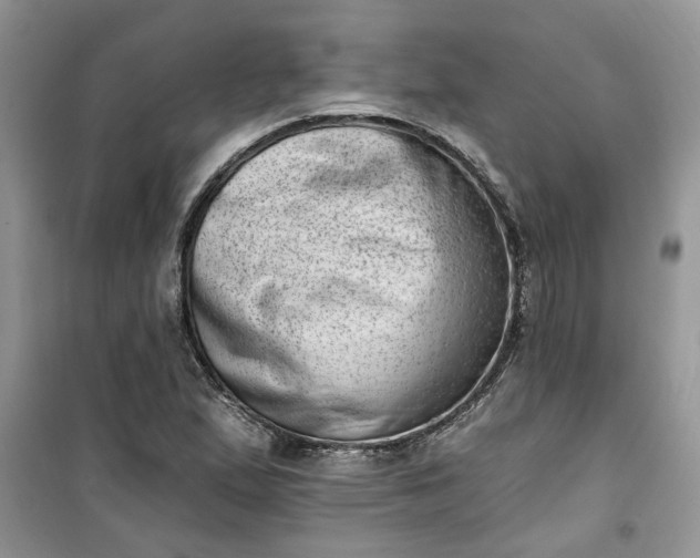 X0000100961167200807081235