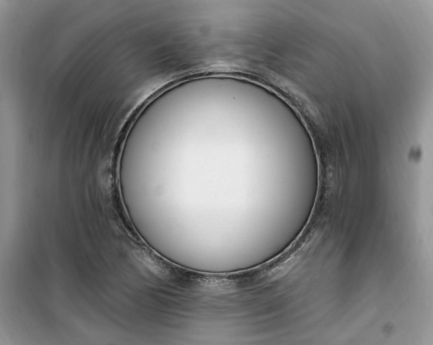 X0000100961170200807081235