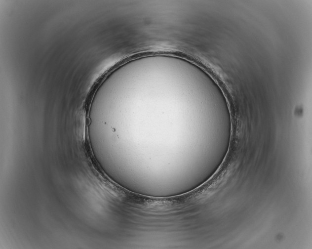 X0000100961171200807081235