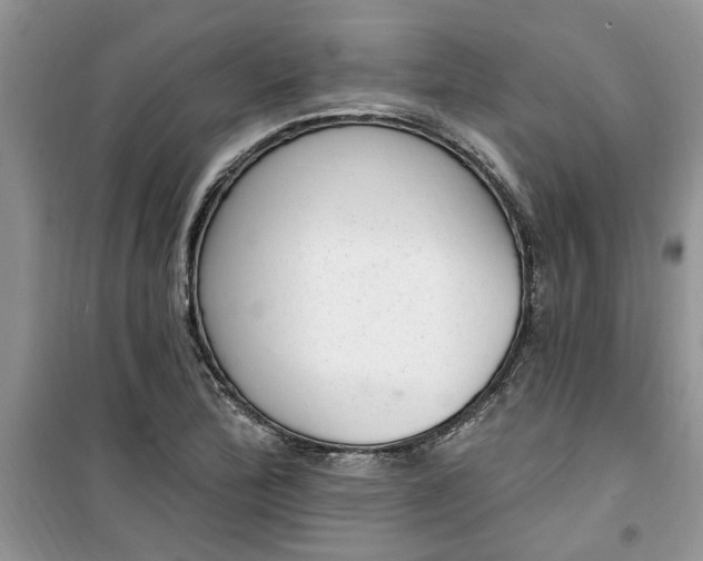 X0000100961172200807081235