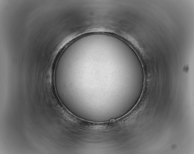 X0000100961173200807081235