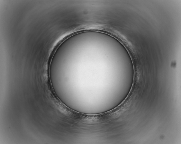 X0000100961174200807081235