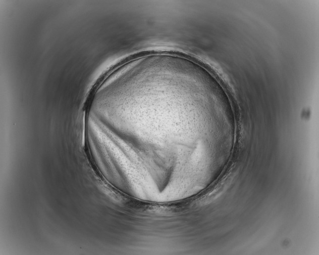 X0000100961175200807081235