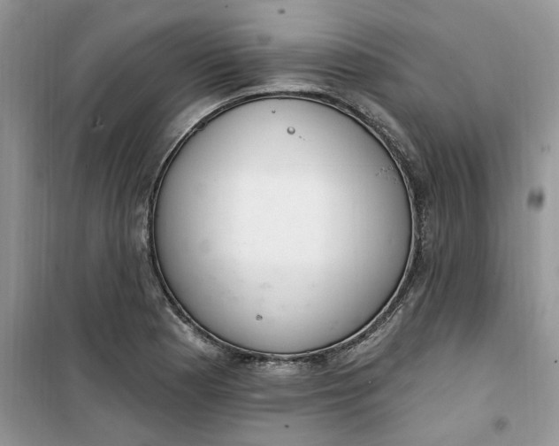 X0000100961177200807081235