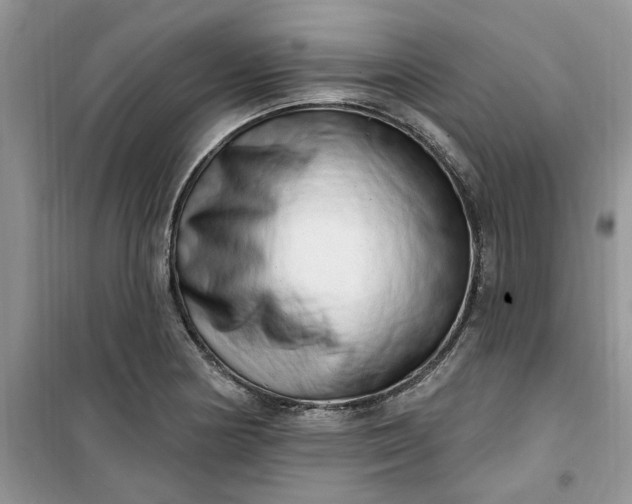 X0000100961178200807081234
