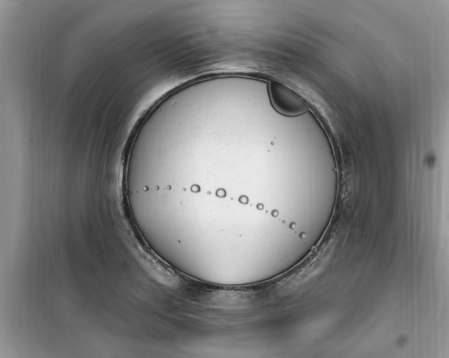 X0000100961179200807081234
