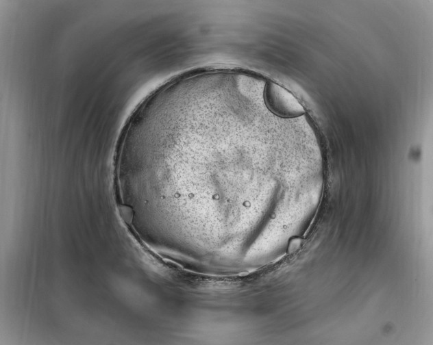X0000100961183200807081234