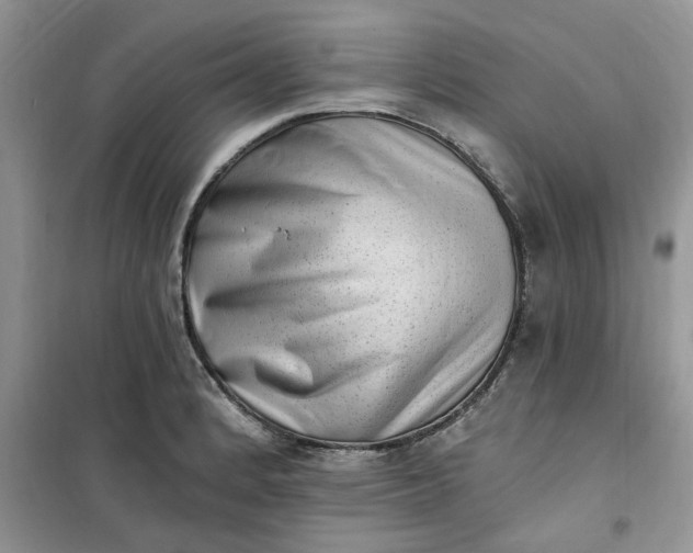 X0000100961184200807081234