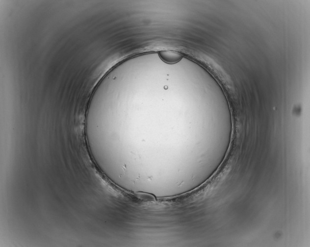 X0000100961185200807081234