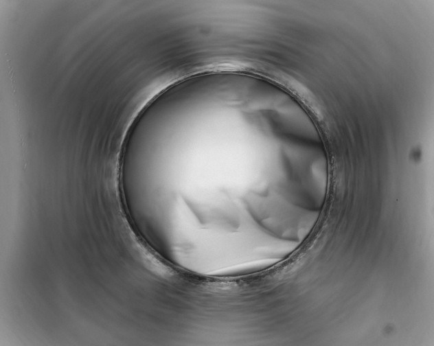 X0000100961186200807081234