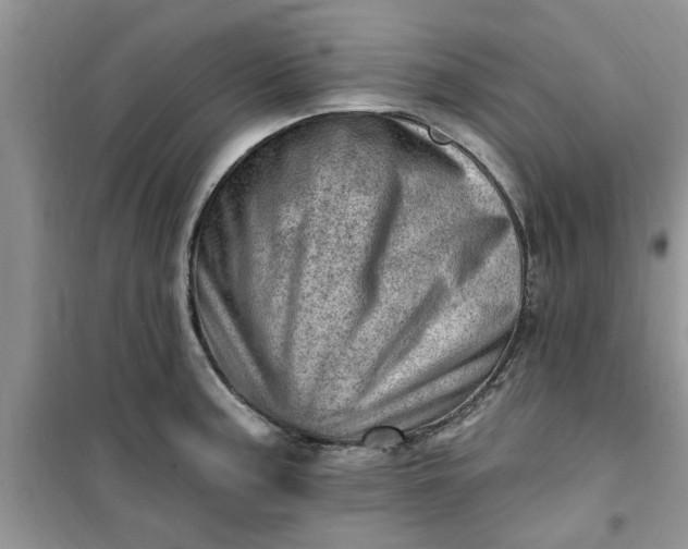 X0000100961187200807081234