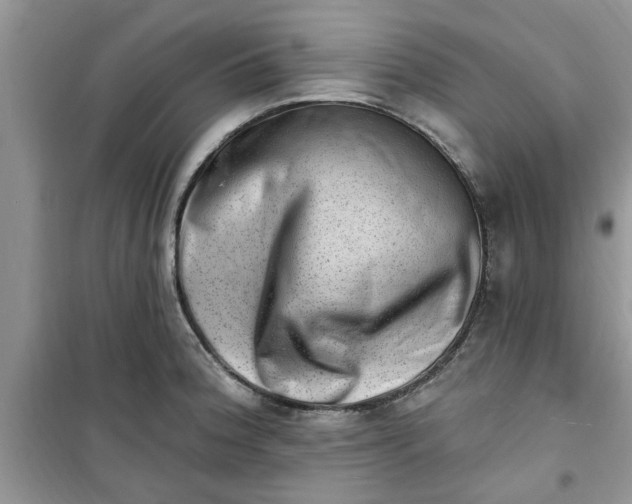 X0000100961188200807081234