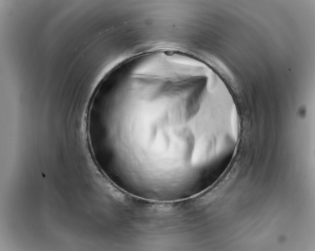 X0000100961190200807081234