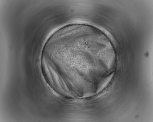 X0000100961191200807081234