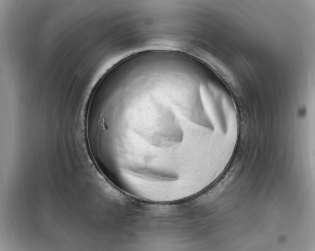X0000100961192200807081234
