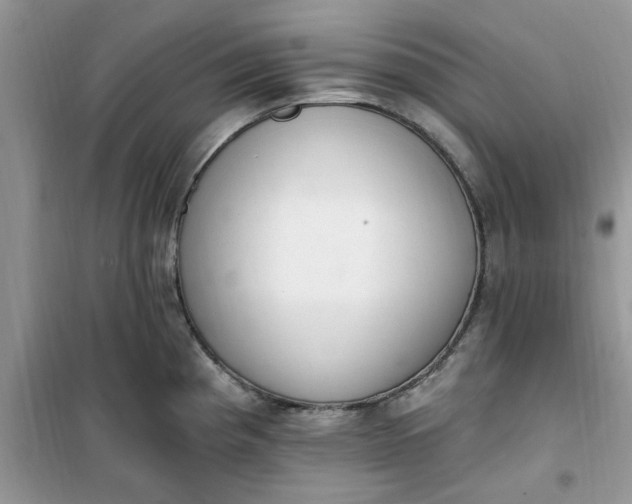 X0000100961193200807081234