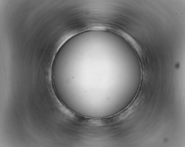 X0000100961194200807081234