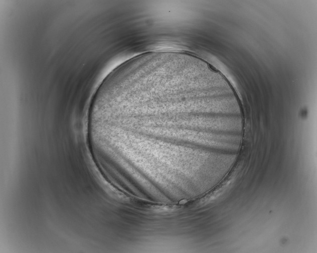 X0000100961195200807081234