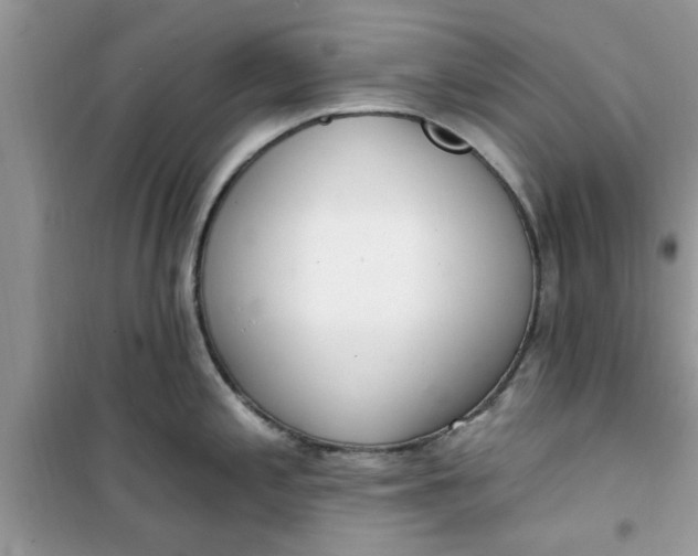 X0000100961197200807081234