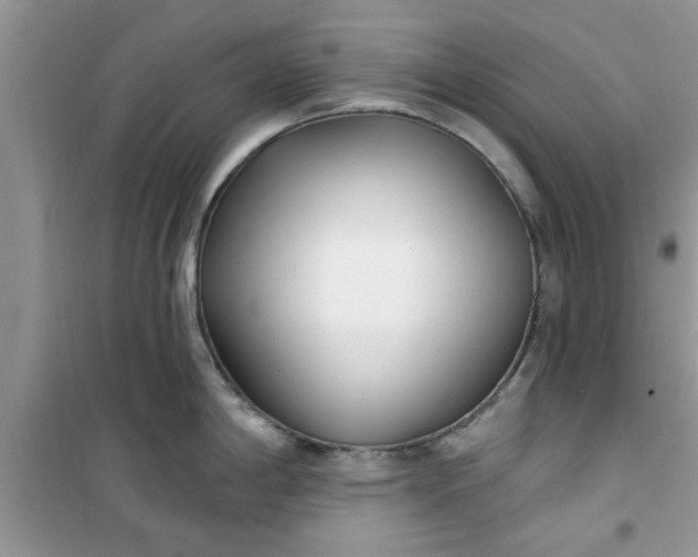 X0000100961198200807081234