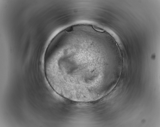 X0000100961199200807081234