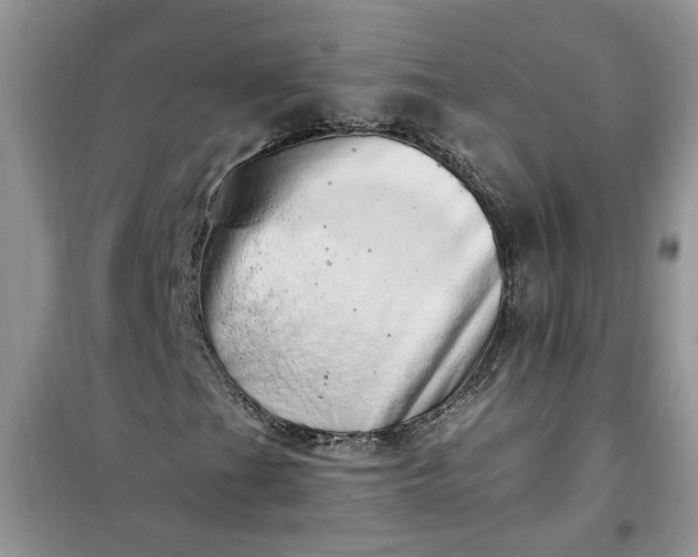 X0000100961201200807081233