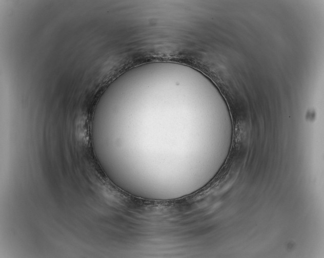 X0000100961202200807081233