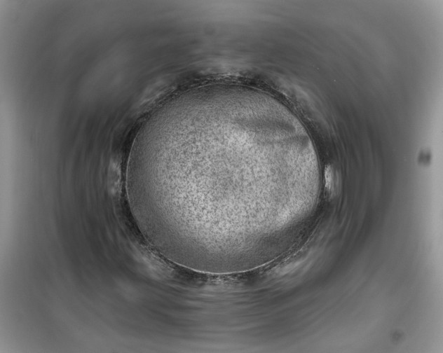 X0000100961203200807081233