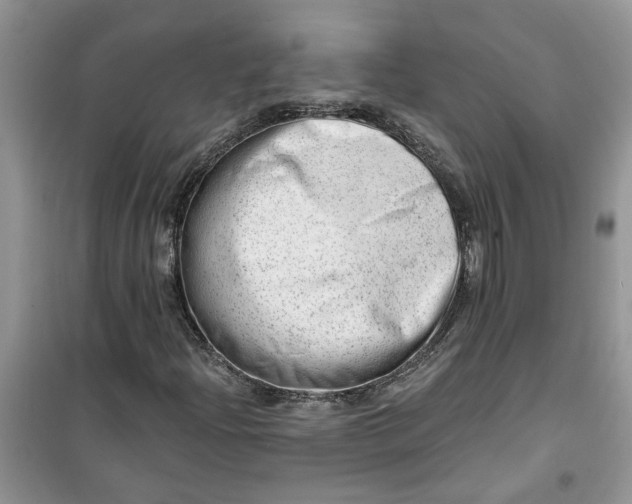 X0000100961204200807081233