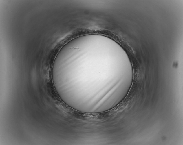 X0000100961205200807081233