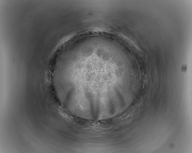 X0000100961207200807081234