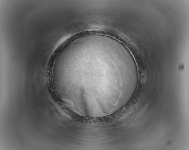 X0000100961208200807081234