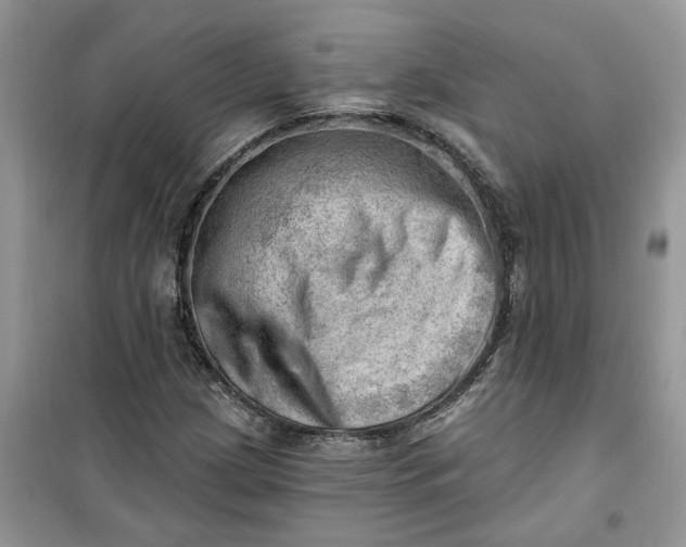 X0000100961209200807081234
