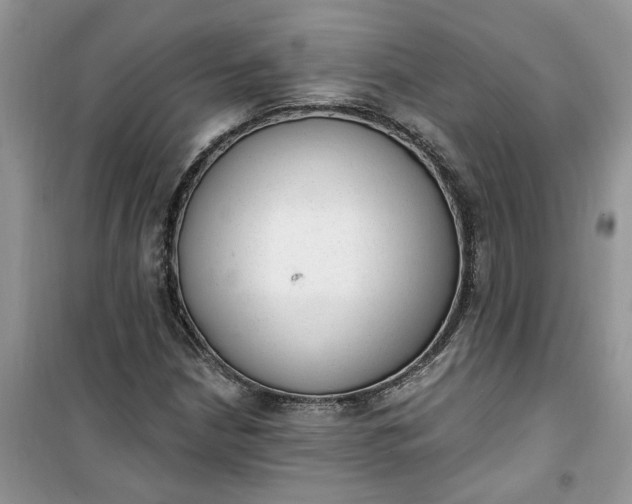 X0000100961210200807081234