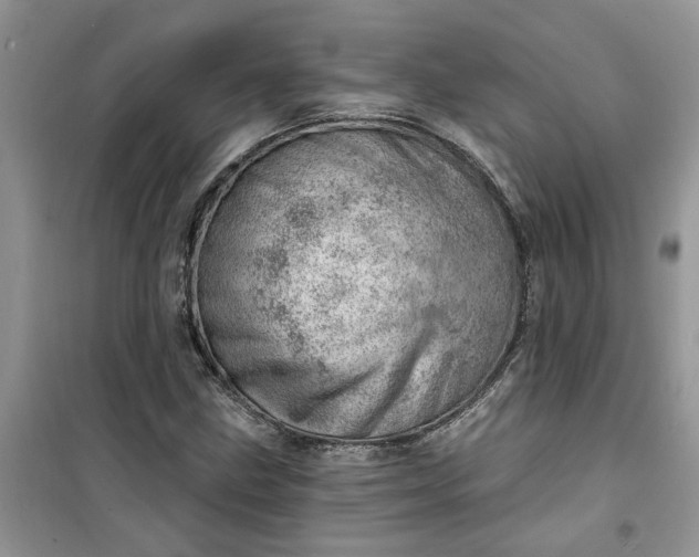 X0000100961211200807081234